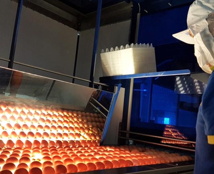 Bộ Công Thương gỡ khó cho ngành dệt may